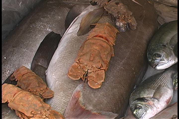 Lobster and fish for sale