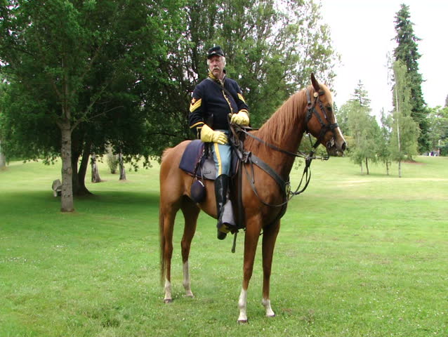 PORT GAMBLE, WA - JUN 20 2009: Civil War reenactors participate in a mock battle.	Union cavalry sergeant and his horse  642-1