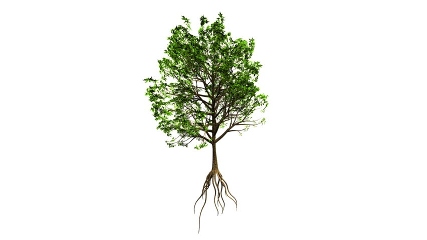 Growing Tree (Alpha Version available in Portfolio)