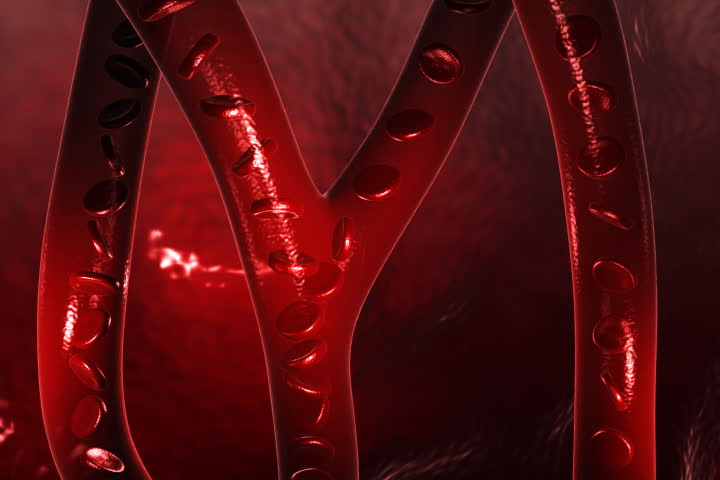 Digital footage of  blood  cell in colour  background