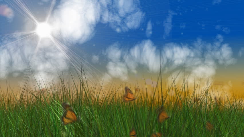 Spring scene with grass, clouds and butterflies