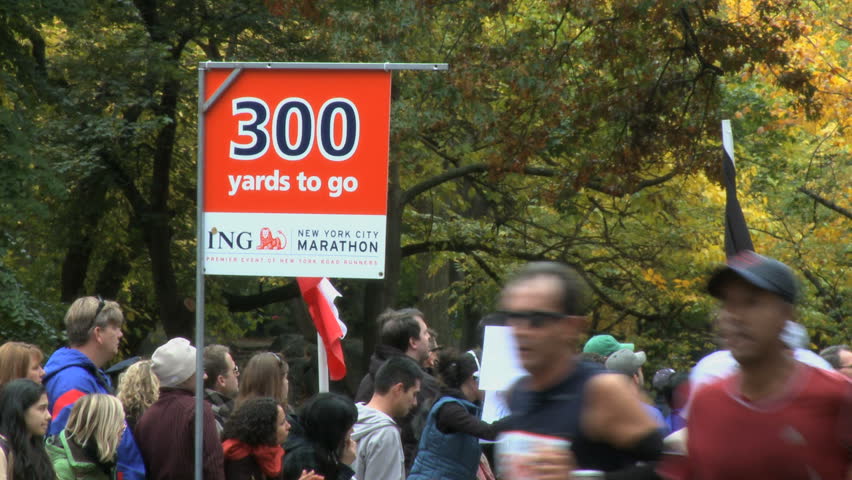 NEW YORK CITY - NOVEMBER 1: With less than 300 yards to go, tired but determined runners make their way to the finish line in the 40th annual NYC marathon.