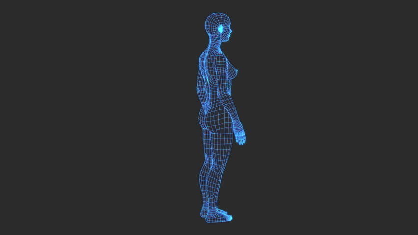 3D Animation Of Human Body Anatomical Scan On Digital Screen Loop Stock