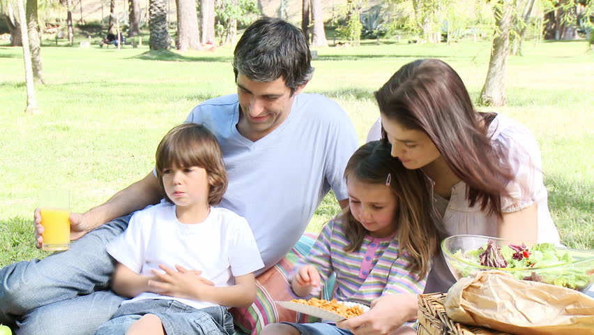 Family having a picnic in a park. Footage in high definition