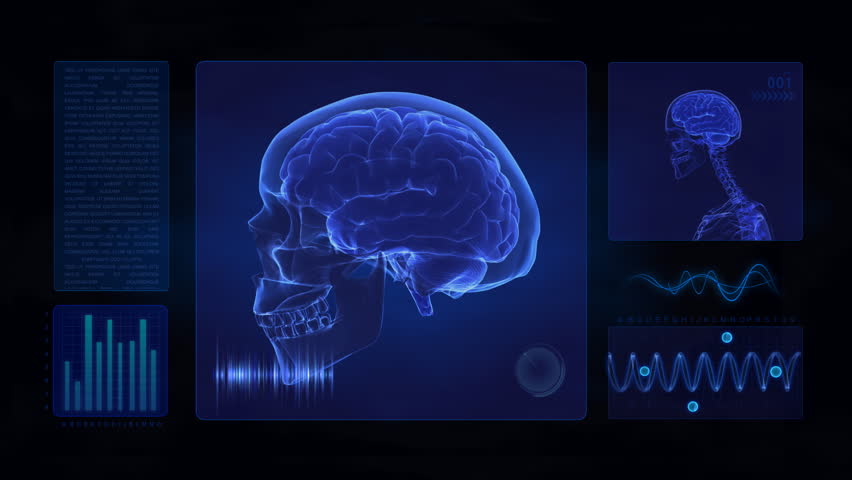 Medical display in loop - brain concept  --- Similar videos in my portfolio ---