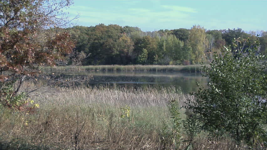 A peaceful lakeside scene with autumn trees.