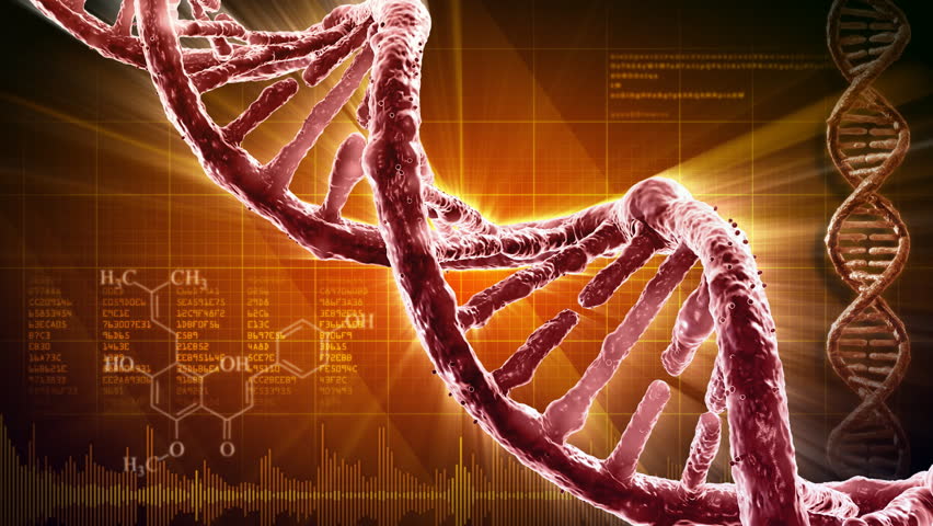 DNA strand 