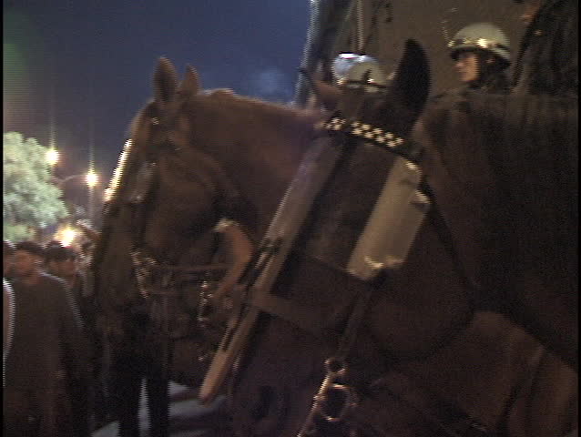 Riot Police on Horseback 2