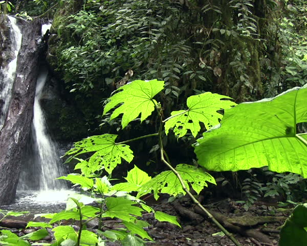 Waterfall in the Nambillo Valley, Ecuador