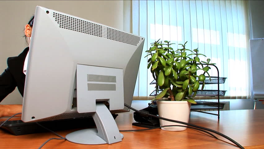 Businesswoman at the PC concentrating