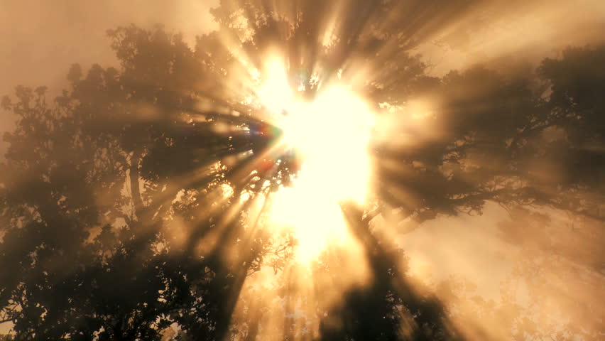 Time-lapse cloud & sunlight symbolizing trees absorbing carbon dioxide from the atmosphere & producing oxygen