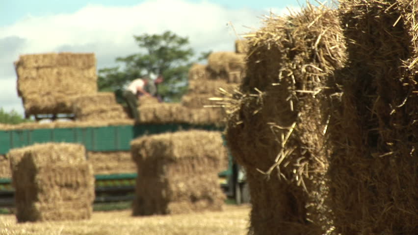 Agriculture - Stacking bales of hay