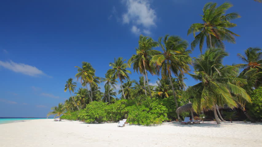 sandy beach on island with palm trees 