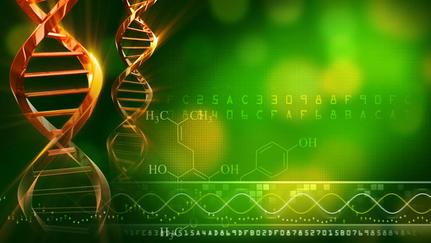 Animation of seamlessly looping DNA strand. 