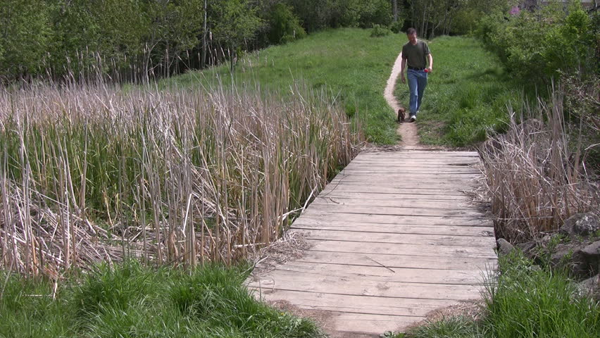 Walking a miniature Dachshund along a path, over a wooden walkway.