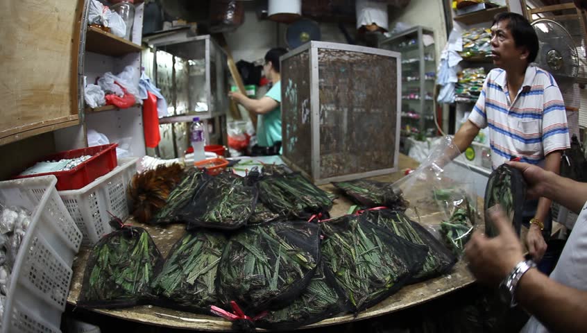 HONG KONG, CHINA - MAY 20: Songbird owners, carrying their beloved pets around in intricately carved cages, gather in HK bird market to find mates for their pets and buy paraphernalia, Hong Kong China, May 20, 2010