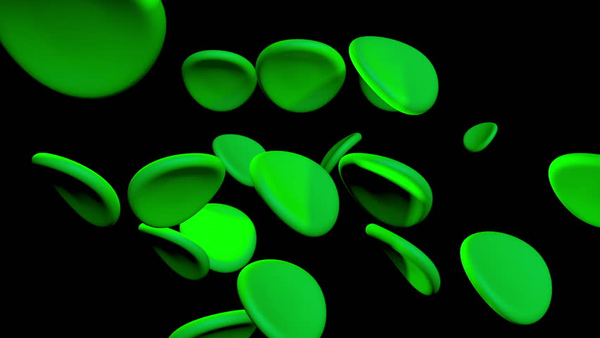 Chlorophyll cells