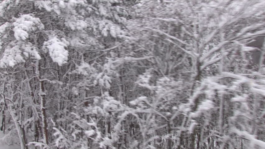 moving snow park