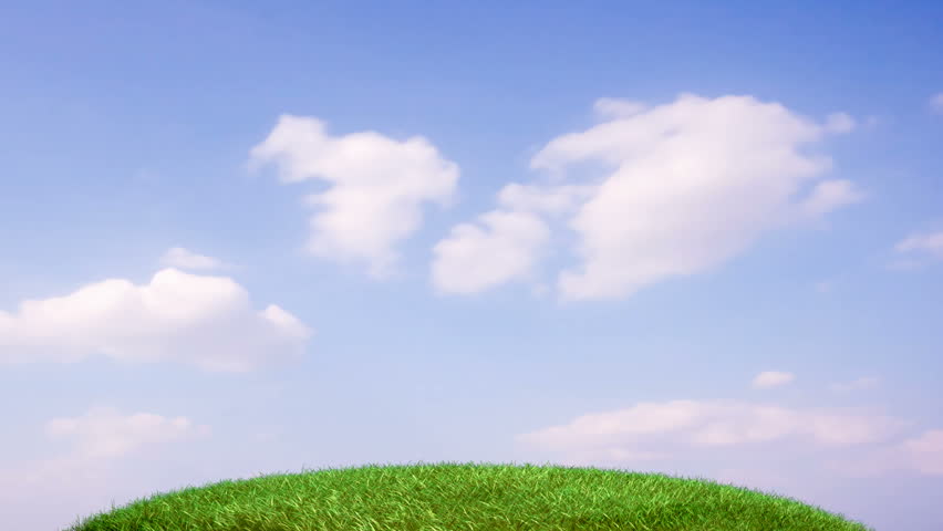 growing dollar tree time-lapse, CGI, alpha channel