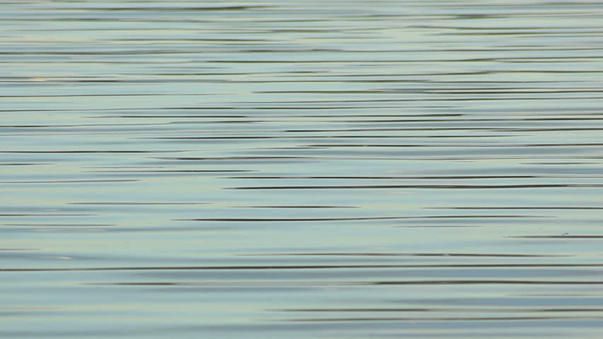 A close-up of water waves moving slowly down frame. Ideal water background.