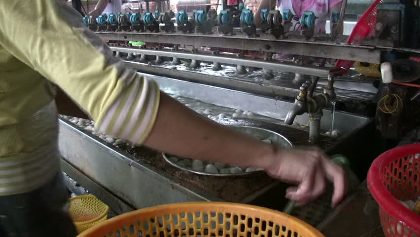 Silk Textile Factory Production Line, Vietnam