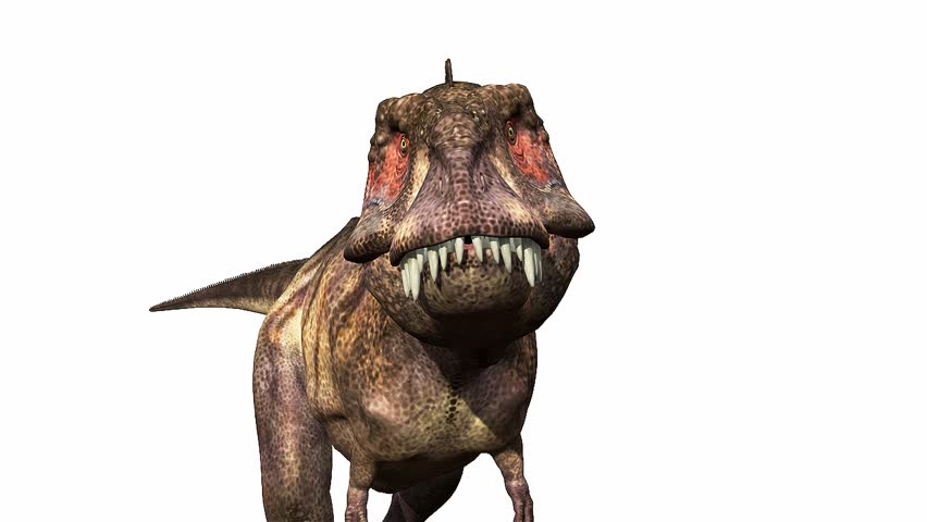 Tyrannosaurus rex the big bite 