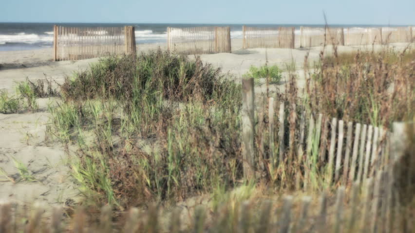 Waves wash up on shore on Isle of Palms (near Charleston, SC). Early morning deserted beach. Waves in background, sand fences in dunes. Sea oats blowing in breeze. Natural sound.