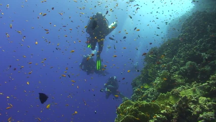 Technical divers diving through a shoal of tropical fish, Brother Islands, Red Sea, Egypt.