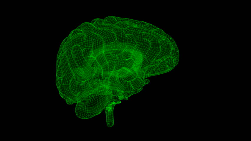 Looping Xray Wireframe Brain Animation. With Alpha Matte. Isolated on Black