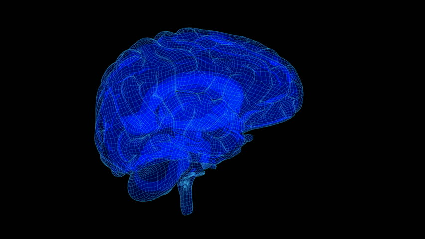 Looping Xray Wireframe Brain Animation. With Alpha Matte. Isolated on Black