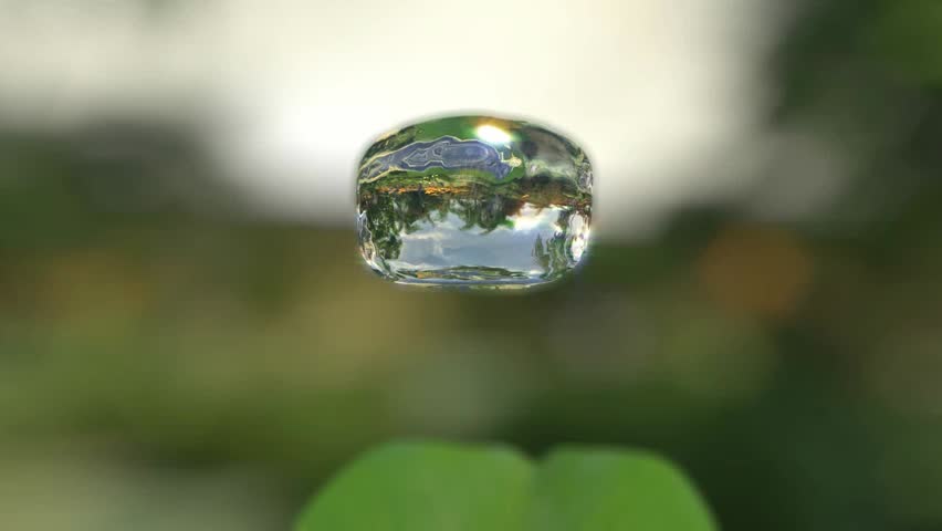 falling drop on nature background