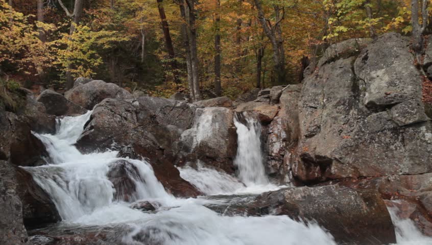 Foliage Falls -  Glen Ellis falls on the Ellis river in Pinkham, New Hampshire with yellow fall foliage in background. 