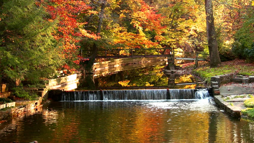 HD reflections of autumn leaves in a stream