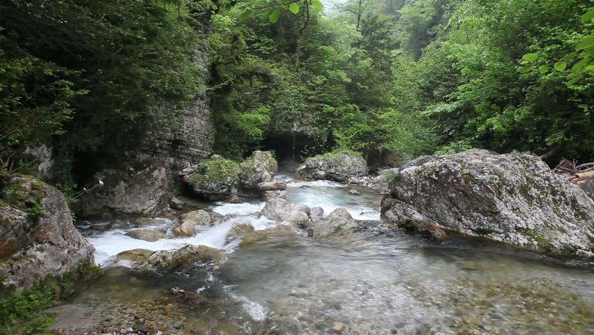 mountain river in forest