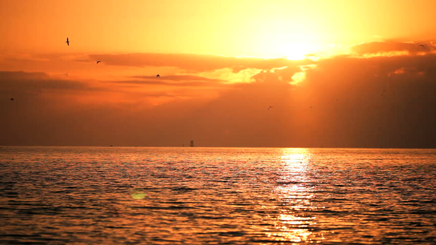 Beautiful sun setting over a tranquil ocean with sea birds flying