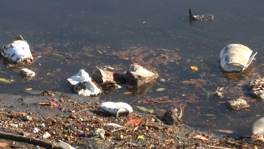 Polystyrene And Plastic Floating In Water