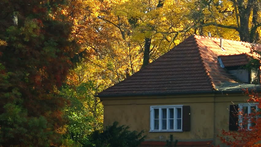 Cottage hidden in the woods