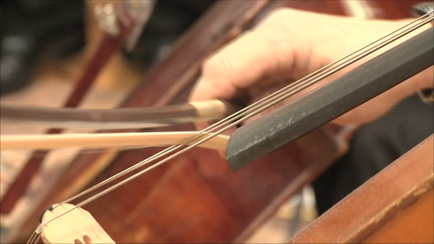 playing contrabass