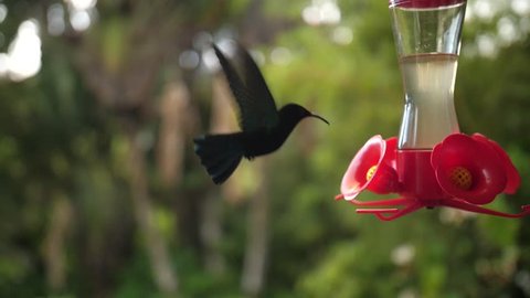 Blurry Eyes Stock Video Footage 4k And Hd Video Clips Shutterstock