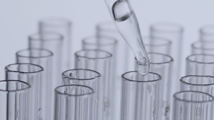 Header of extract