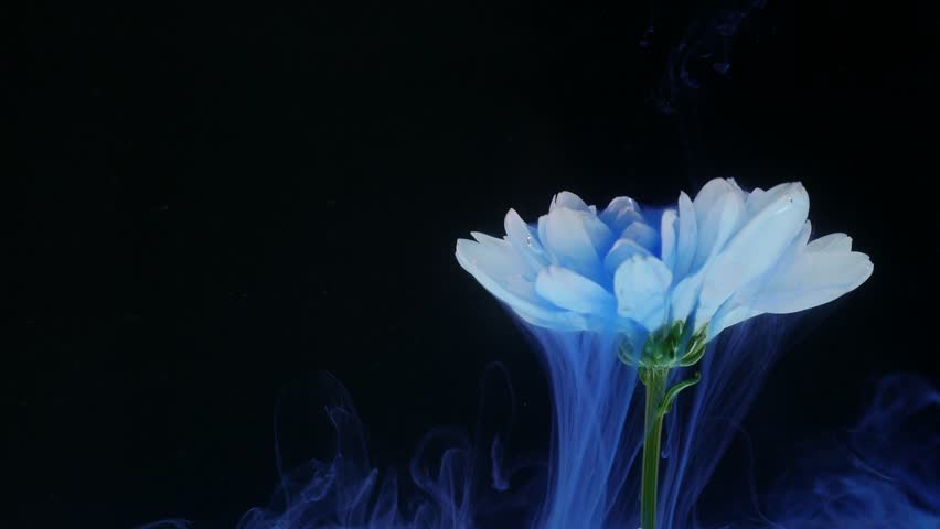 Header of mixture