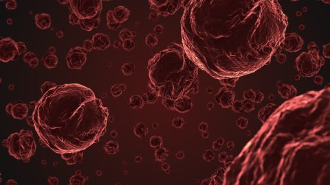 T Cells Are Involved In Stock Footage Video 100 Royalty Free