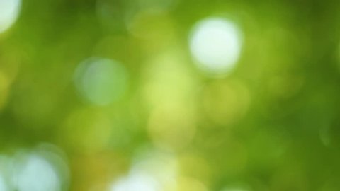 Beautiful Blurry Green Blue Nature Background Stock Footage Video (100%  Royalty-free) 1009366361 | Shutterstock