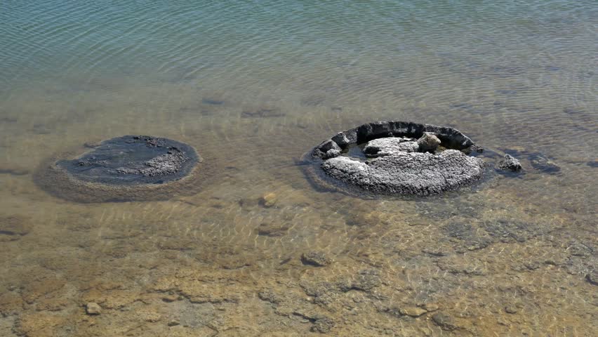 Stromatolites image - Free stock photo - Public Domain photo - CC0 Images