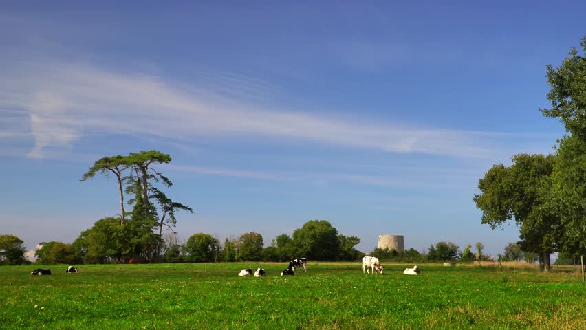 Header of pasturage