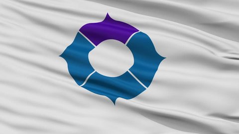 Toyonaka close up flag, Osaka prefecture, realistic animation seamless loop - 10 seconds long