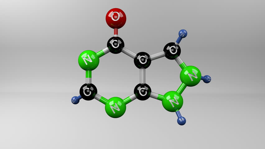 Header of Allopurinol