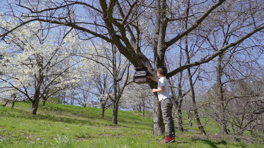 Little Boy Put Feed Into Bird Feeder In Park