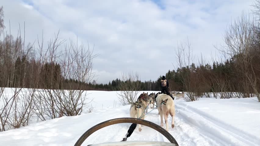 Header of sled