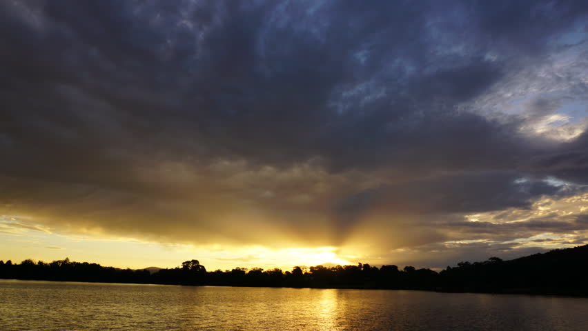 Header of burley